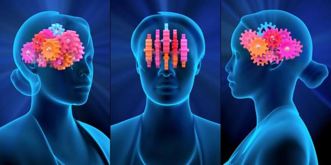 蔡磊回应未来准备尝试脑机接口